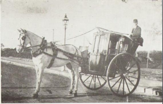 Horse, cabman and cab