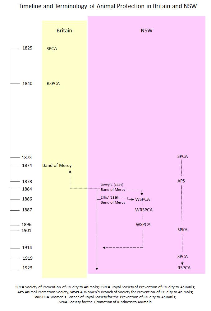 time-line-and-terminology-britain-nsw-v3